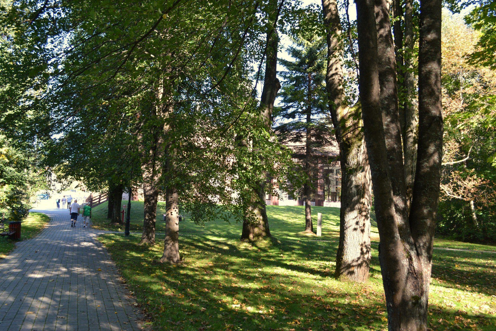 Wysowa-Zdrój