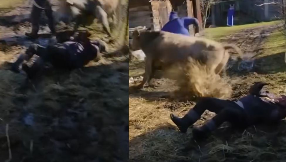 Kadr z programu "Rolnicy. Podlasie"