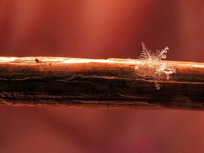 Konkurs fotograficzny ZIMA - znamy zwycięzców! 4