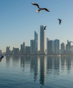 Ekstradycja z ZEA. "Witek" z trójmiejskiego półświatka przekazany Polsce