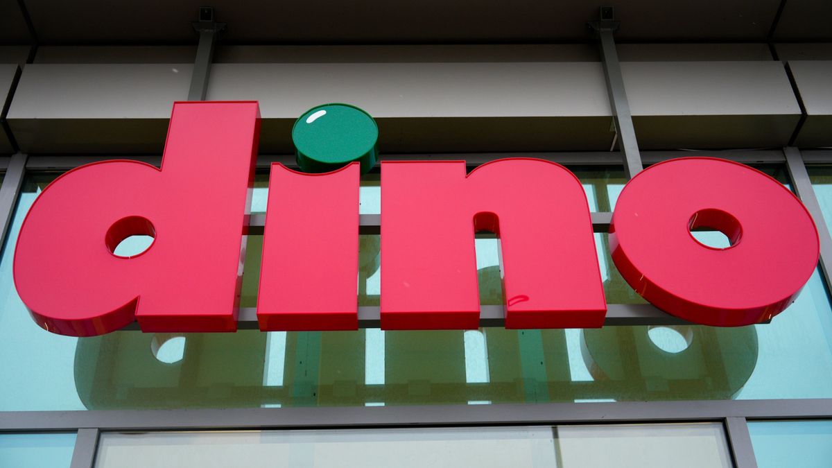 Promocje w Dino.