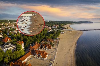 Pokazali zdjęcie z Sopotu. Prawdziwy wysyp na plaży. "Są ich setki"