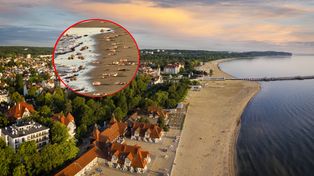 Pokazali zdjęcie z Sopotu. Prawdziwy wysyp na plaży. "Są ich setki"