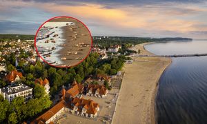 Pokazali zdjęcie z Sopotu. Prawdziwy wysyp na plaży. "Są ich setki"
