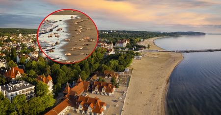 Pokazali zdjęcie z Sopotu. Prawdziwy wysyp na plaży. "Są ich setki"