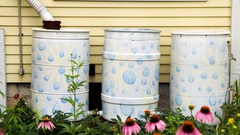 Zbieranie deszczówki popłaca. Tyle można zaoszczędzić na wodzie rocznie