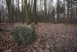 Strzelanina w lesie. Poszło o kamień szlachetny