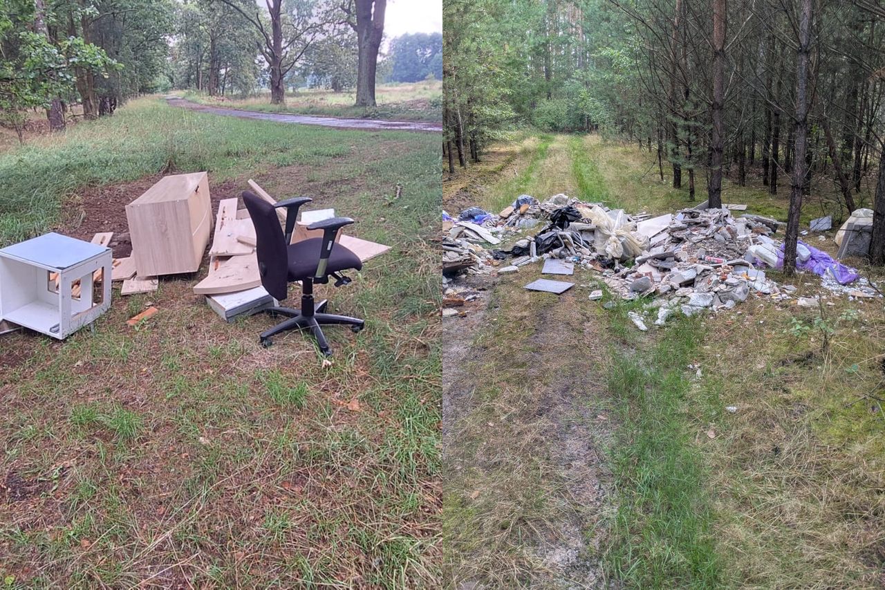 Leśnicy załamują ręce. Wydali ogromną kwotę na śmieci