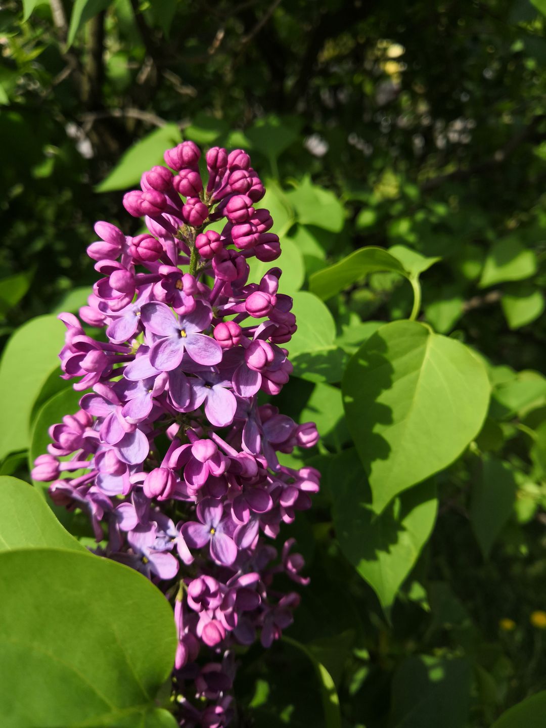 Test Honor View 10 – najlepszy smartfon, jaki powstał pod marką Honor 18