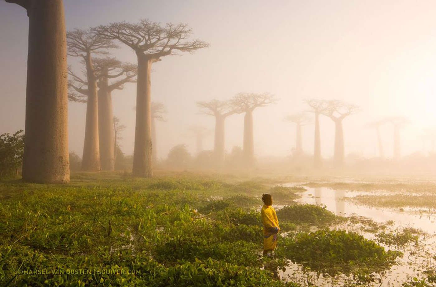 Zobacz najpopularniejsze zdjęcia National Geographic 2015 roku 10
