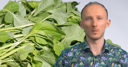 Dietetyk radzi, by jeść 3 razy w tygodniu, bo chroni przed rakiem i zakrzepami. Jest w każdym spożywczaku i kosztuje grosze