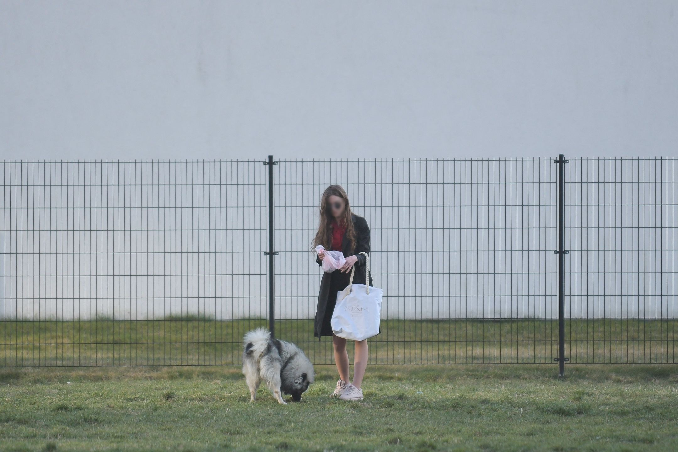 Kochanka Antka Królikowskiego wyprowadza psa na spacer