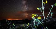 23 minuty gwiazd, zórz i pięknej muzyki [time - lapse]