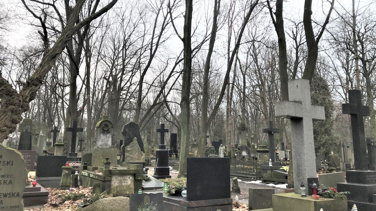 Zdjęcie ilustracyjne.