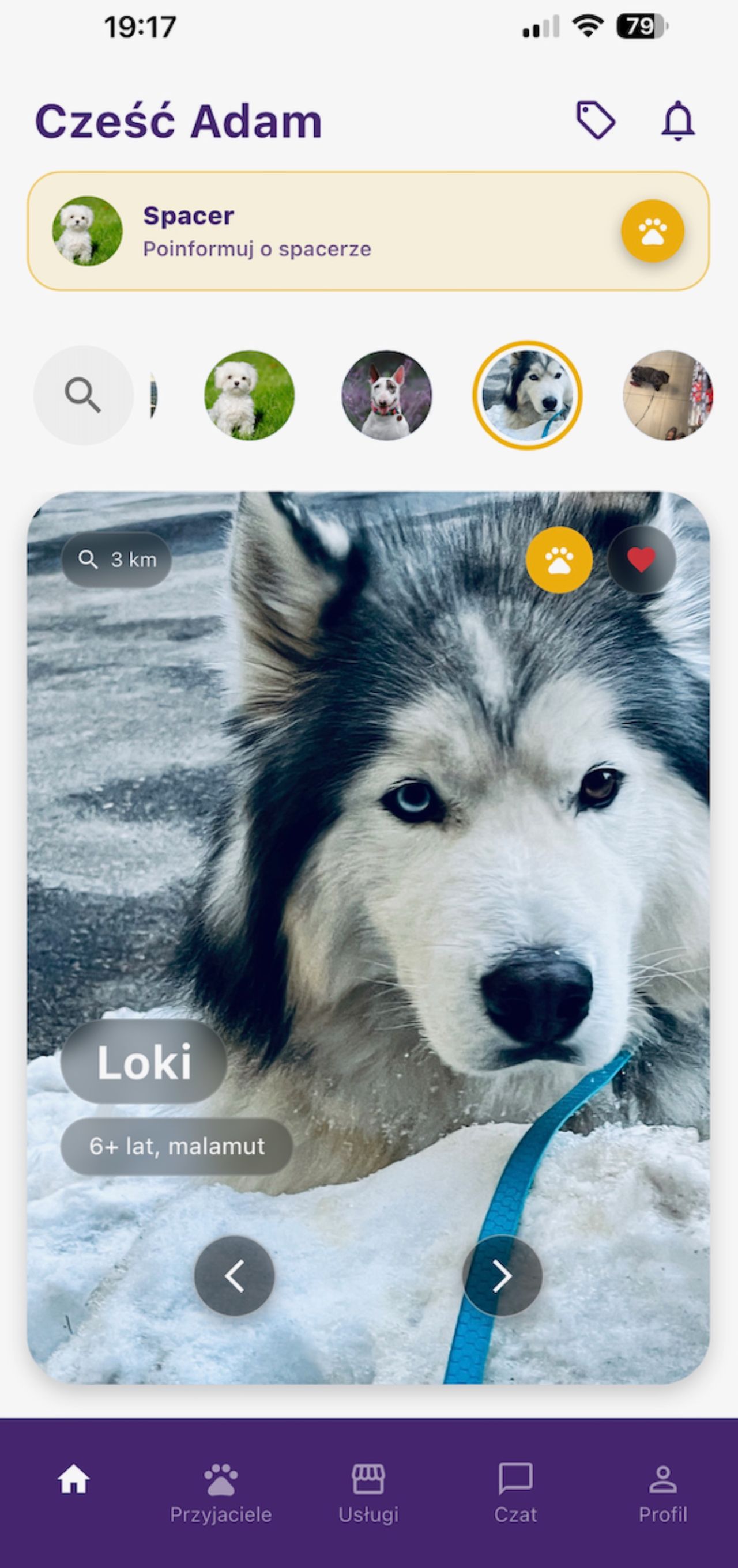 DogDog 