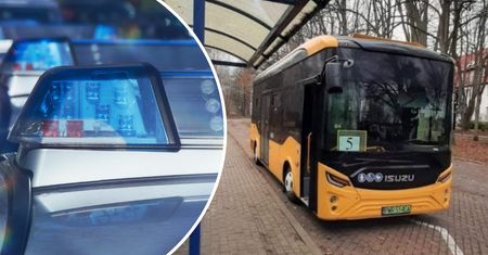 Wsiadła do autobusu z chihuahua. Skończyła w izbie zatrzymań