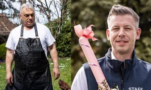 Tymczasem na Węgrzech. Orbán gotował szynkę, Magyar pokazał kiełbaskę