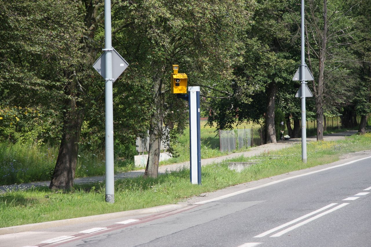 Najskuteczniejszym fotoradarem okazał się ten w Rudzie Śląskiej (zdjęcie ilustracyjne)