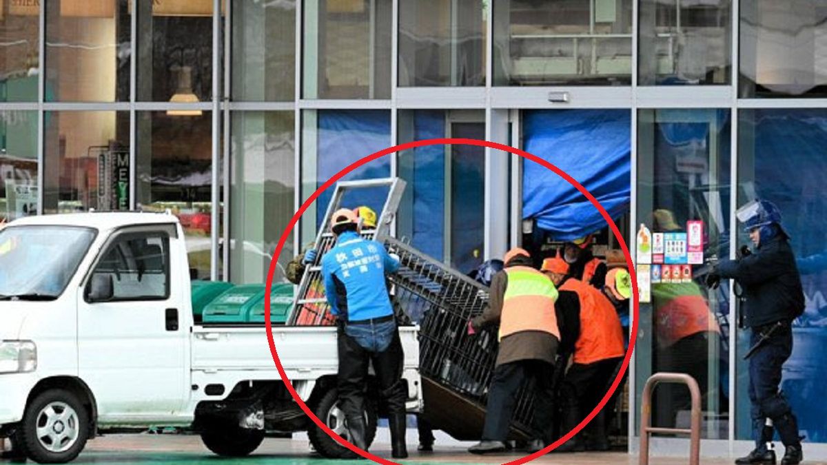 Zabitego niedźwiedzia wywieziono ze sklepu furgonetką.