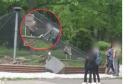 Ogród zoologiczny pokazuje, co zrobiło dziecko. Film ku przestrodze