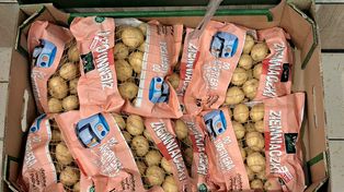 W Lidlu pojawiły się nowe ziemniaki. Cena za kilogram zwala z nóg