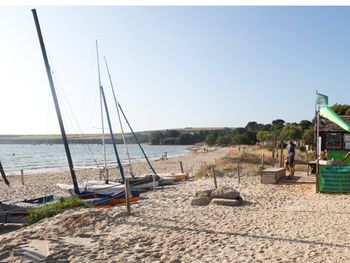 Tajemnicze stworzenia na brytyjskiej plaży. Wyglądały jak z serialu