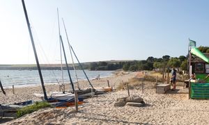 Tajemnicze stworzenia na brytyjskiej plaży. Wyglądały jak z serialu