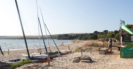 Setki dziwnych stworzeń na angielskiej plaży. Ludzie zaniepokojeni