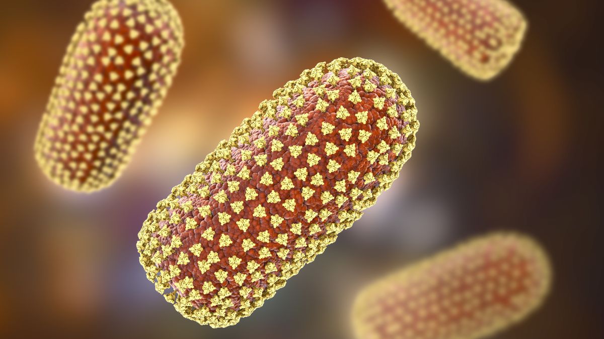 Wirus wścieklizny. Nowe ogniska choroby w Lubelskiem. 