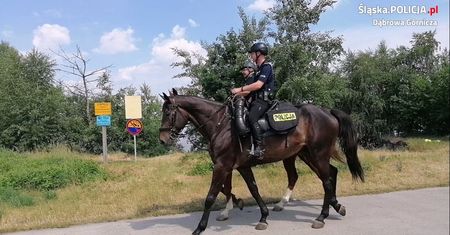 Dąbrowa Górnicza. Patrole konne dbają o bezpieczeństwo nad Pogorią 4