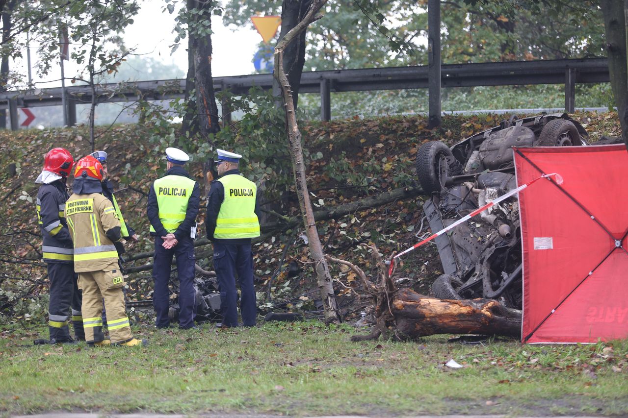 Katowice. Śmiertelny wypadek na DK86. Auto roztrzaskało się o drzewa
