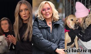 Gwiazdy reagują na wiadomość o ZAMKNIĘCIU schroniska w Sobolewie! "Wreszcie! I proszę nie odpuszczać!"