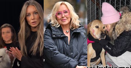 Gwiazdy reagują na wiadomość o ZAMKNIĘCIU schroniska w Sobolewie! "Wreszcie! I proszę nie odpuszczać!"
