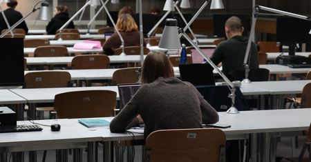 Skutki afery wizowej widać na uczelniach. Oto ile traci Polska