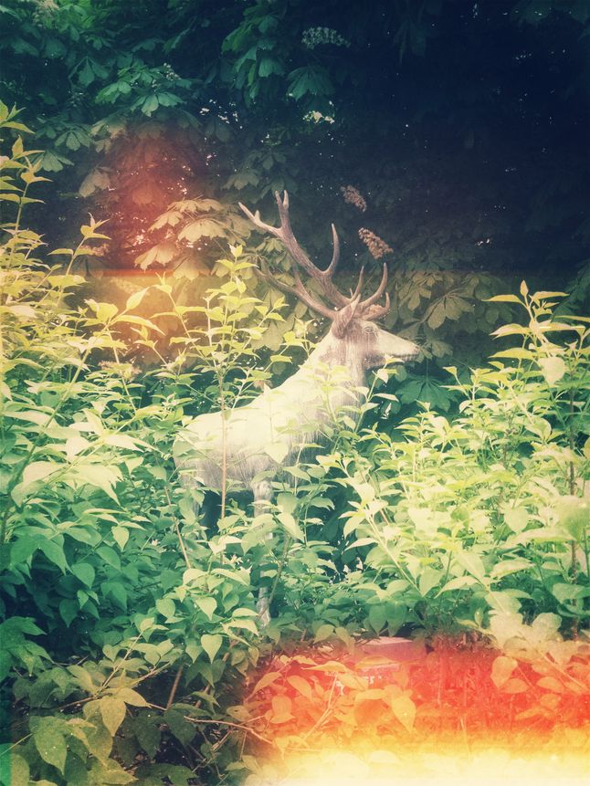 (C) Joanna 'frota' Kurkowska