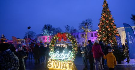 Poseł rozdawał choinki. Tak zareagowali ludzie