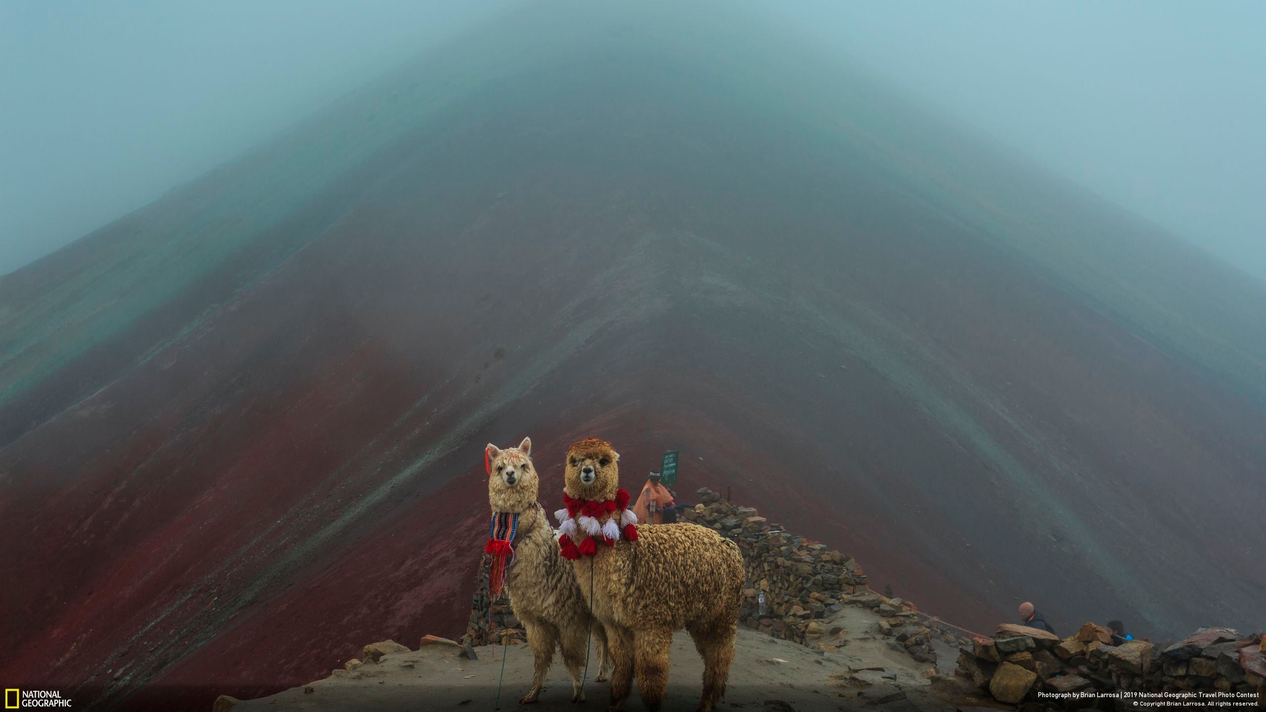 Niesamowite zdjęcia finalistów National Geographic Travel Contest 2019 18