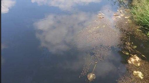 Dolina Baryczy. Katastrofa ekologiczna. Ludzie wołają o ratunek