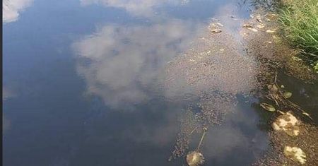 Dolina Baryczy. Katastrofa ekologiczna. Ludzie wołają o ratunek