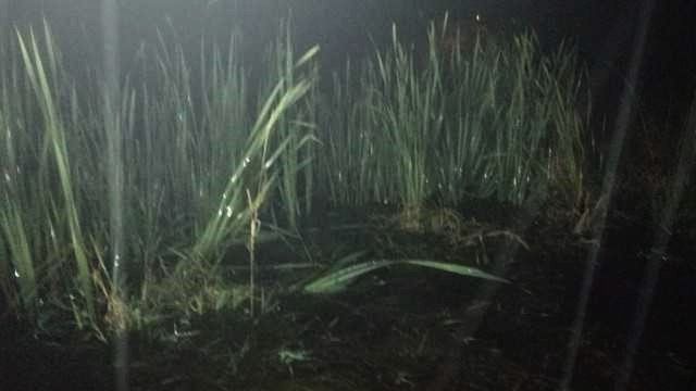 Policjanci odnaleźli seniora w zalanych wodą zaroślach 