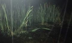 Zaginął 86-latek. Akcja poszukiwawcza na zalanej łące