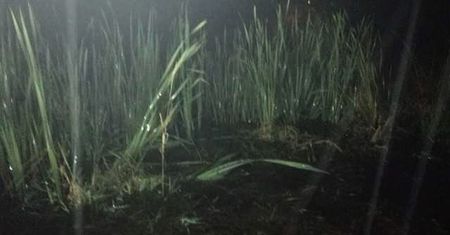 Zaginął 86-latek. Akcja poszukiwawcza na zalanej łące