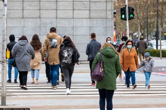 Amerykanie chcą zatrudniać Polaków. Ponad połowa firm ma w planach powiększenie zespołu