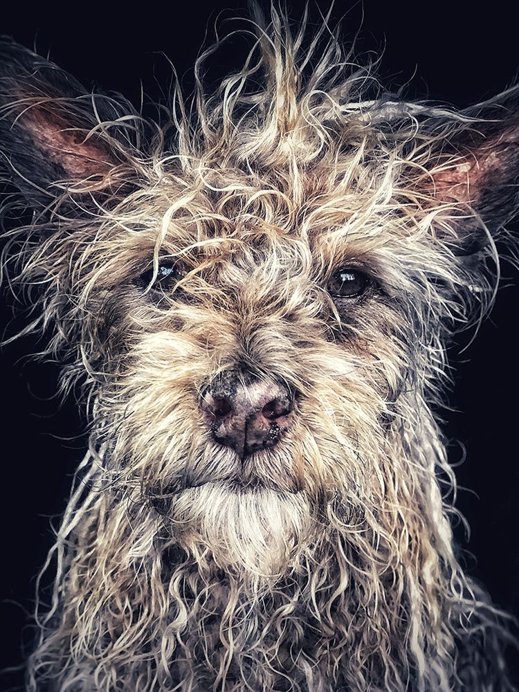Dwóch Polaków nagrodzonych w iPhone Photography Awards 2018 8