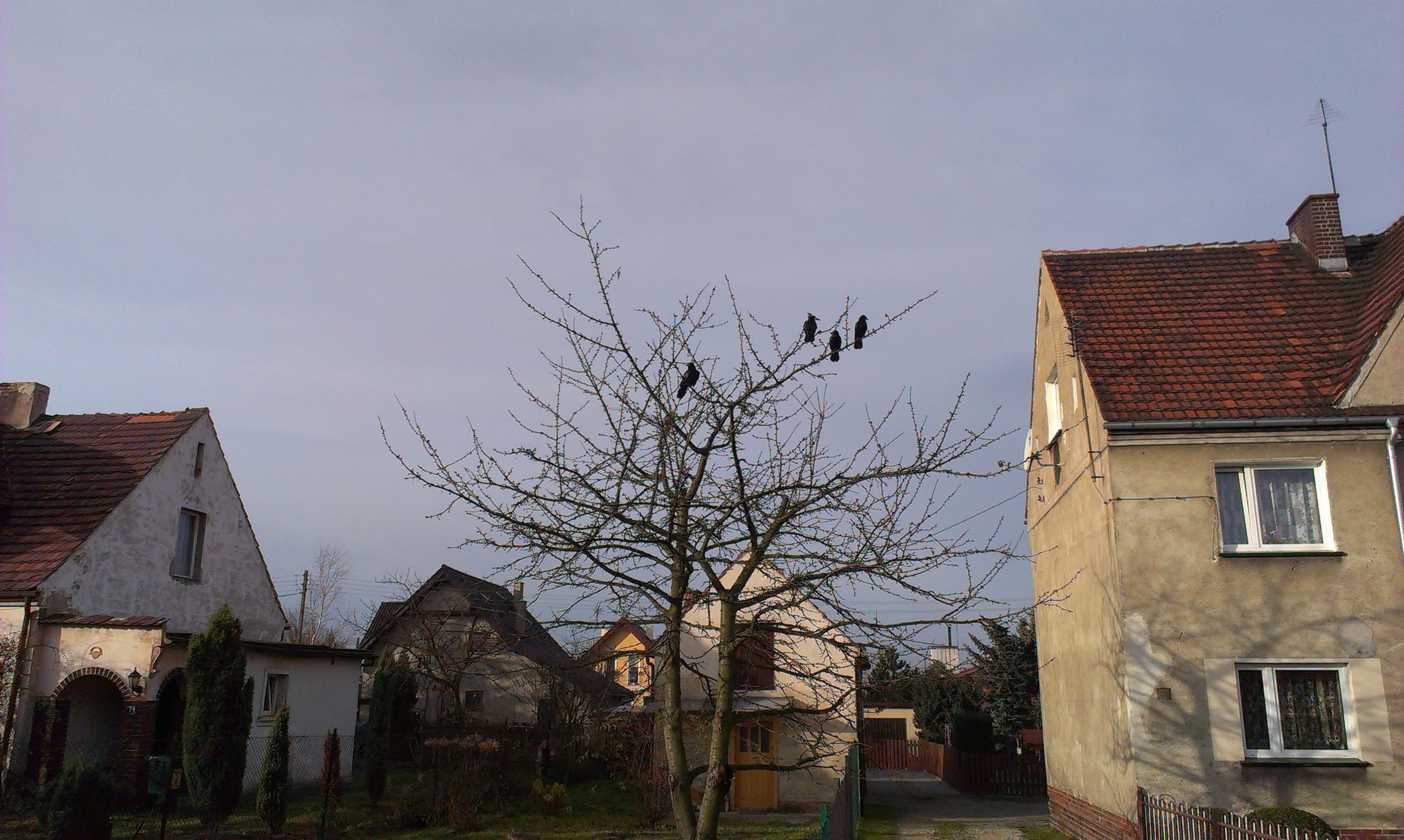 HTC Desire X - udana kontynuacja klasyka [test] 16