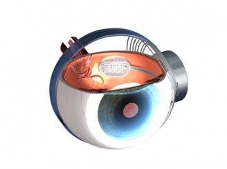 Argus II - sztuczne oko wchodzi do sprzedaży