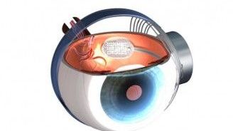 Argus II - sztuczne oko wchodzi do sprzedaży 1