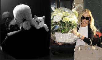 Joanna Przetakiewicz wciąż wspomina przyjaźń nie tylko z kotem, ale i z samym Karlem Lagerfeldem... "Geniusz. Nie tylko mody"