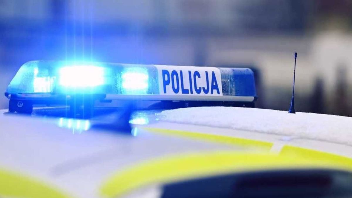Groza w Zamościu. Atak nożem na 8 -latkę