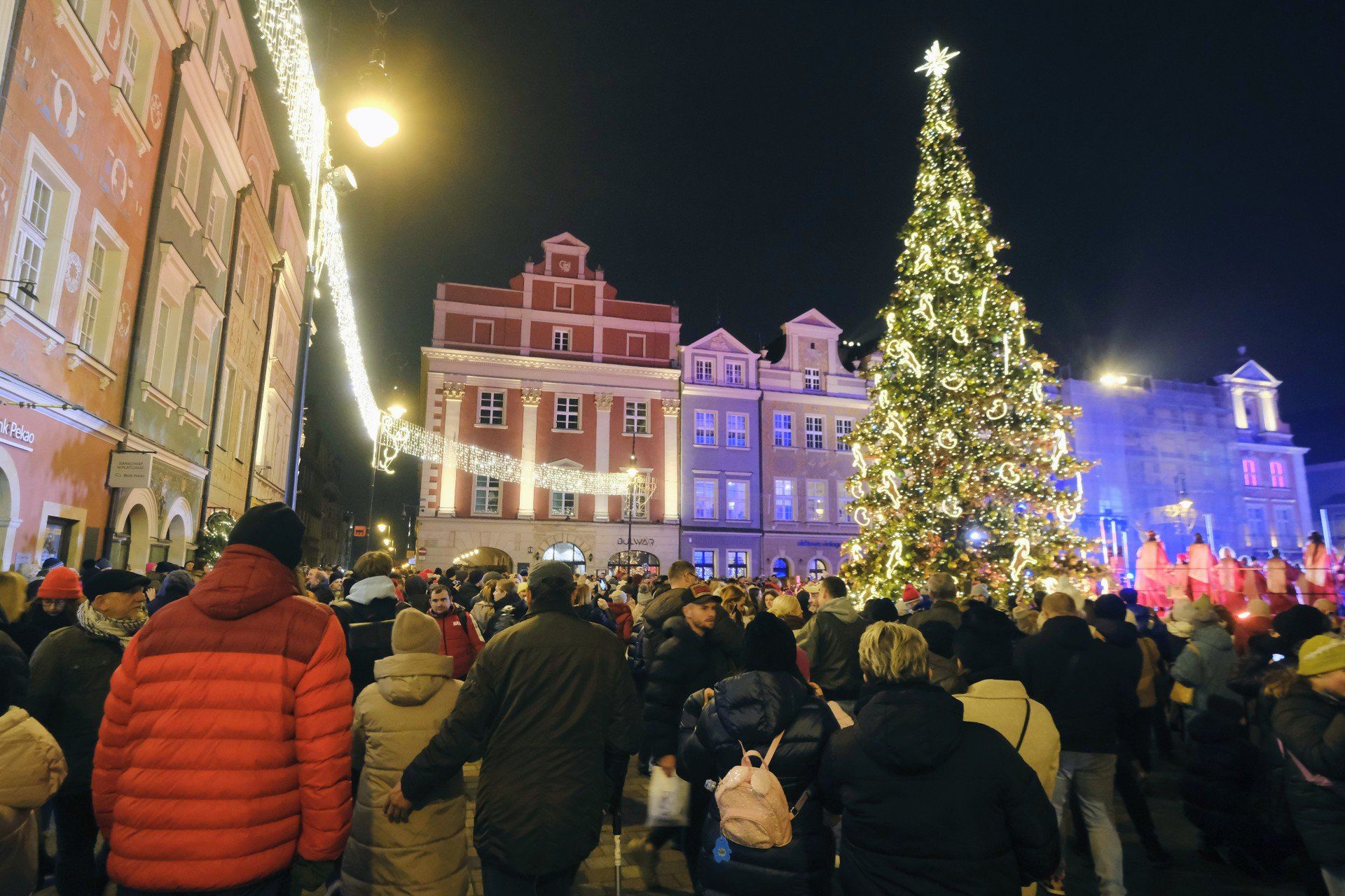 Choinka na Starym Rynku w Poznaniu